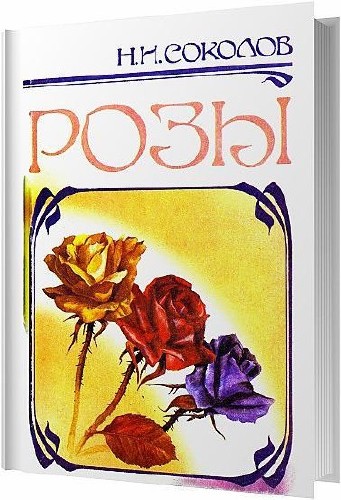 Розы / Соколов Н. И. / 1991