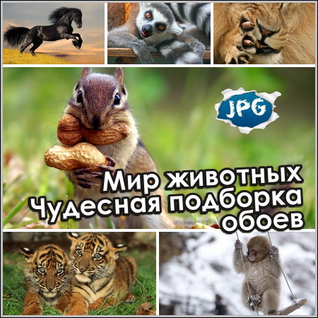 Мир животных - Чудесная подборка обоев (2014)