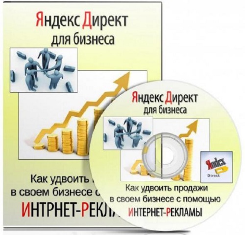 Яндекс директ для бизнеса. VIP - версия. Видеокурс (2013)