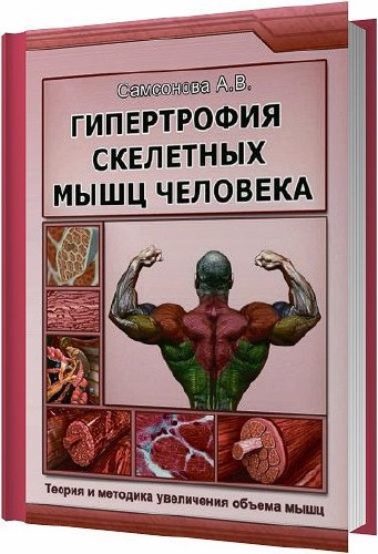 Гипертрофия скелетных мышц человека / Самсонова А. В. / 2012