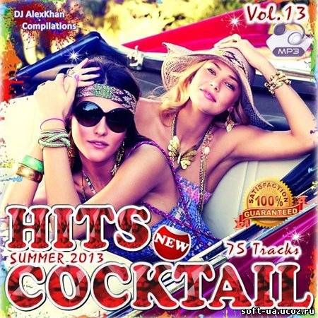 Hits Cocktail - Vol. 13 (2013)