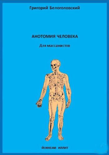 Г. Белоголовский - Анатомия человека для массажистов (2007) pdf