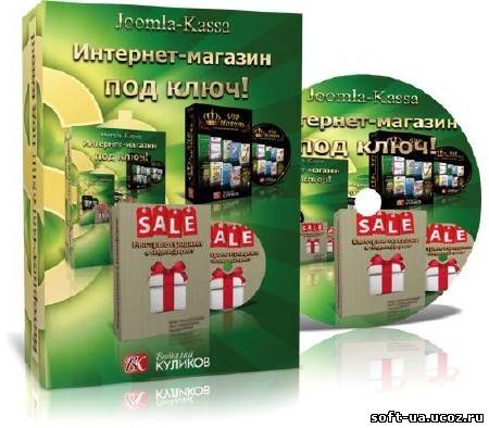 Интернет-магазин под ключ + VIP модуль + Клиенты из Яндекс-Директ. Видеокурсы (2013)