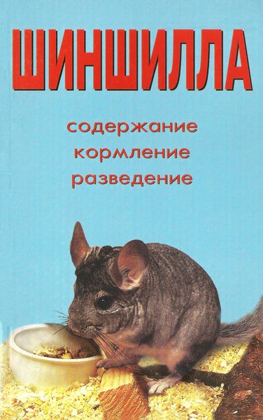Шиншилла / Рахманов А. И. / 2004